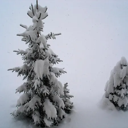 Bergland レッヒ